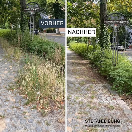 Parkabschnitt in Schmargendorf Parkabschnitt in Schmargendorf